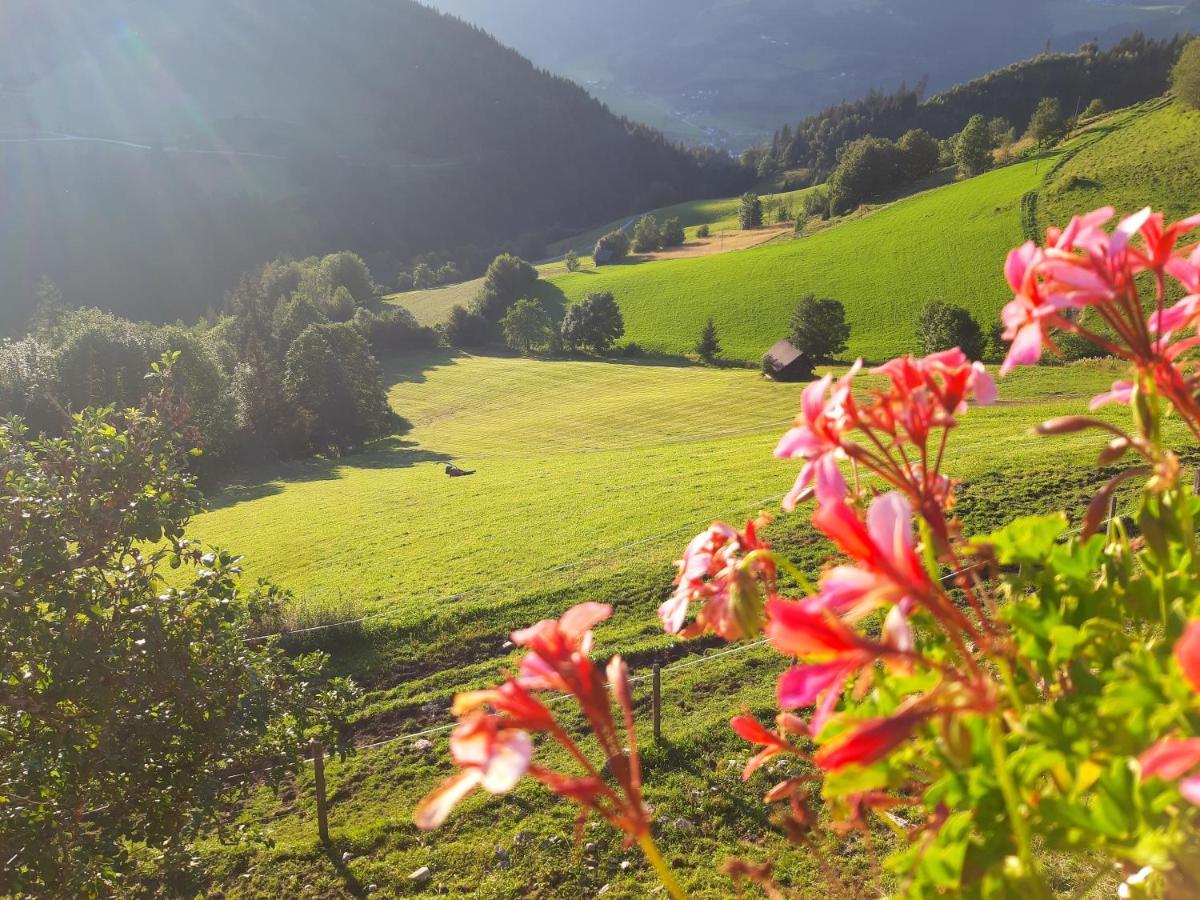 Schirfhof Villa Michaelerberg Eksteriør bilde